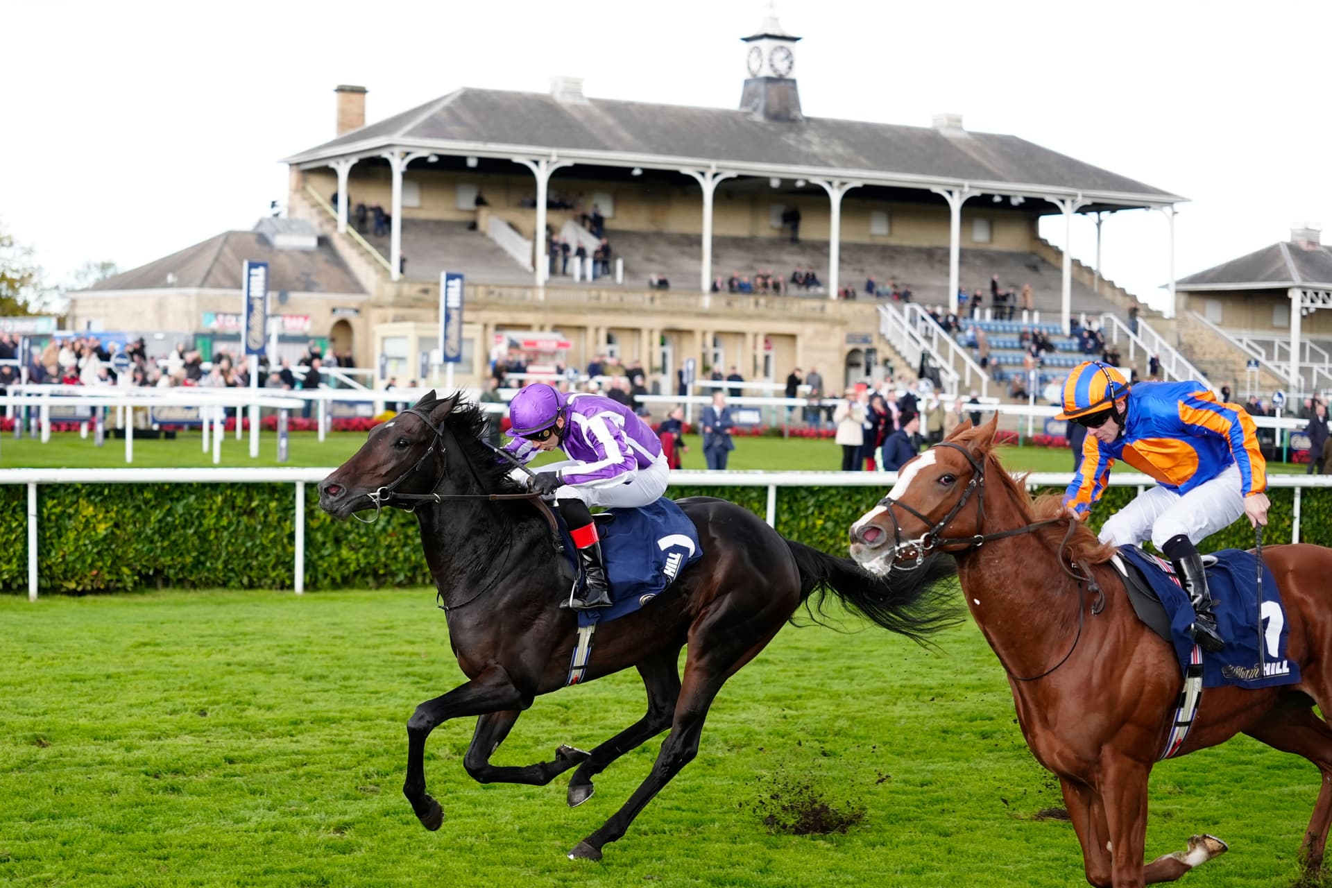 £8m St Leger Black Market Forecast Reignites UK Betting Regulation Debate